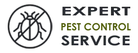 Pro Exterminator Company Hallandale Beach FL